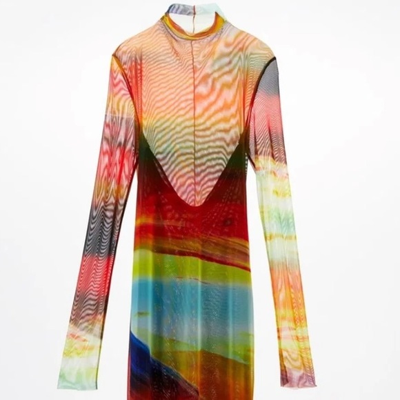 ISO: ZARA PRINTED TULLE DRESS 🔍 - Picture 4 of 4